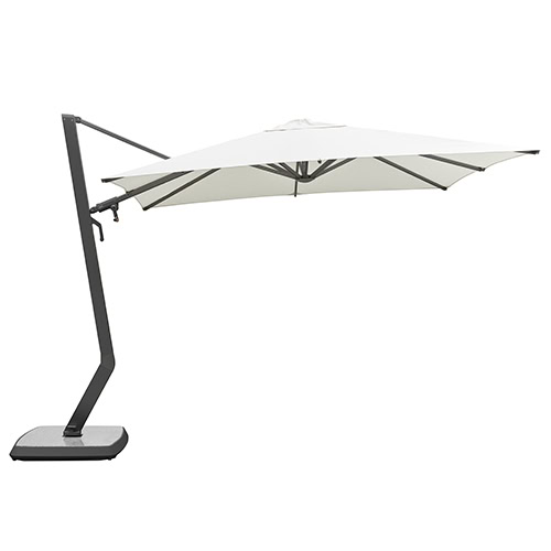 Wing Umbrella (16)