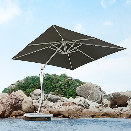 Wing Umbrella (3)