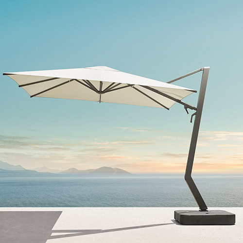 Wing Umbrella (5)
