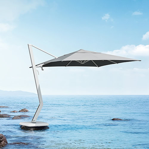 Wing Umbrella (7)
