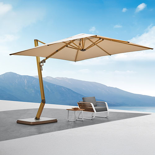 Wing Umbrella (9)